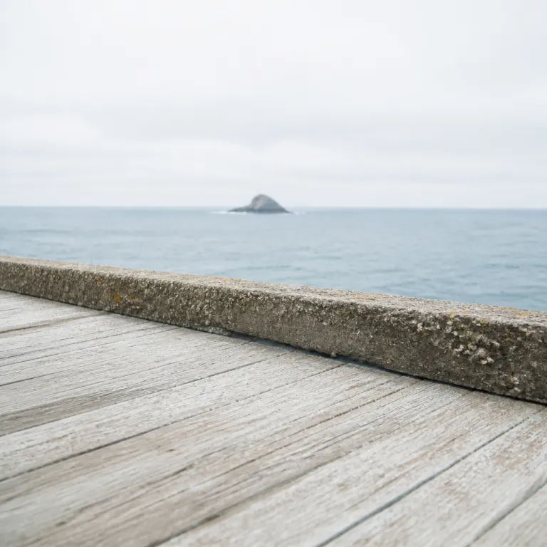 Big Sur Wildlife Viewing Tips: How Your Hotel Choice Shapes Every Encounter