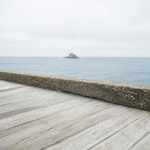Big Sur Wildlife Viewing Tips: How Your Hotel Choice Shapes Every Encounter
