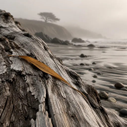 Why October Is the Big Sur Locals Keep to Themselves