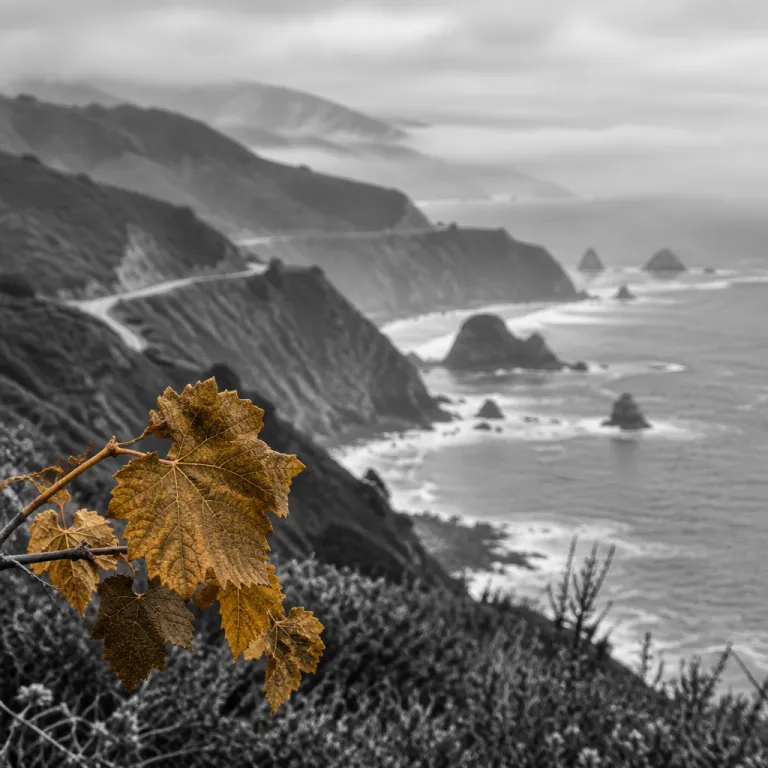 Elegant coastal escapes and refined things to see in San Luis Obispo from a Big Sur base